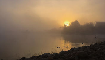 Foggy Beginning - Free image #416265